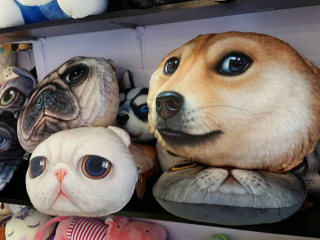 morning picdump 58 pics 4.html - 58 HD Photos | Premium Gallery 2015