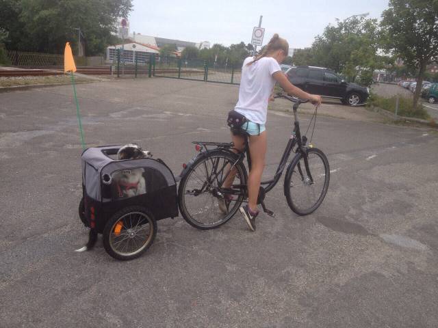 morning picdump 58 pics 4.html - 58 HD Photos | Premium Gallery 2015