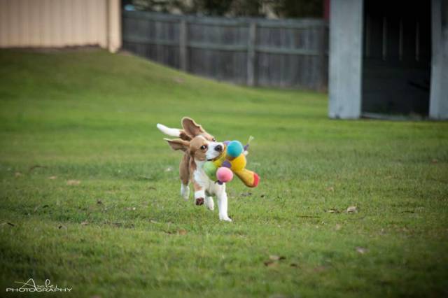 morning picdump 58 pics 4.html - 58 HD Photos | Premium Gallery 2015