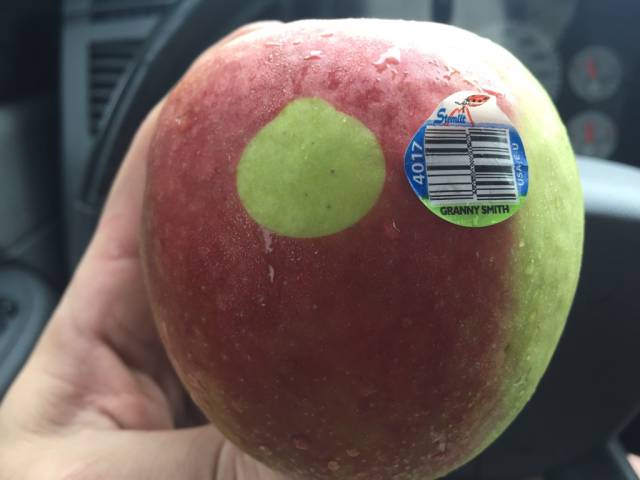 morning picdump 58 pics 4.html - 58 HD Photos | Premium Gallery 2015