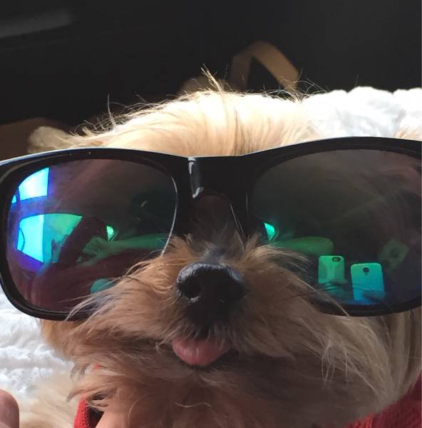 morning picdump 58 pics 4.html - 58 HD Photos | Premium Gallery 2015