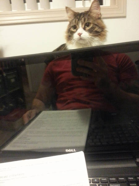 Morning Picdump