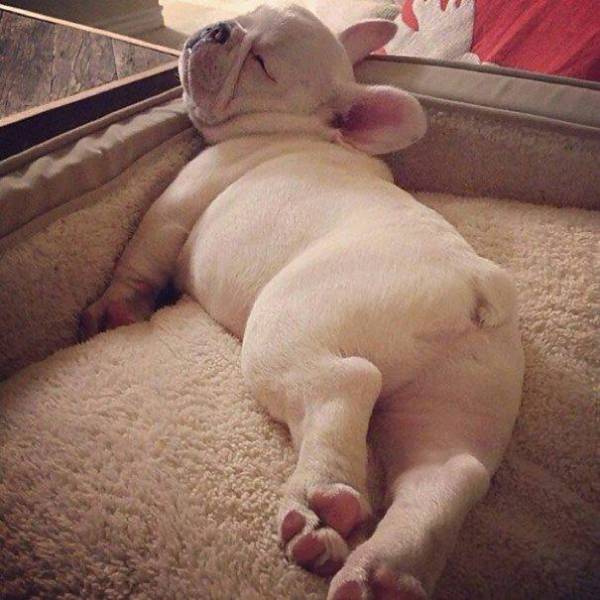morning picdump 54 pics 3.html - 54 HD Photos | Premium Gallery 2015