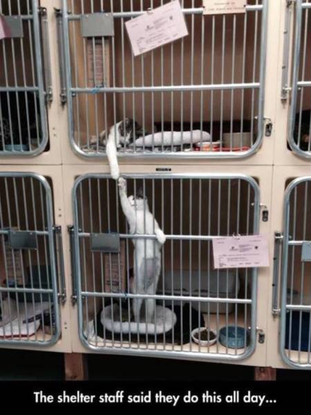 morning picdump 54 pics 3.html - 54 HD Photos | Premium Gallery 2015