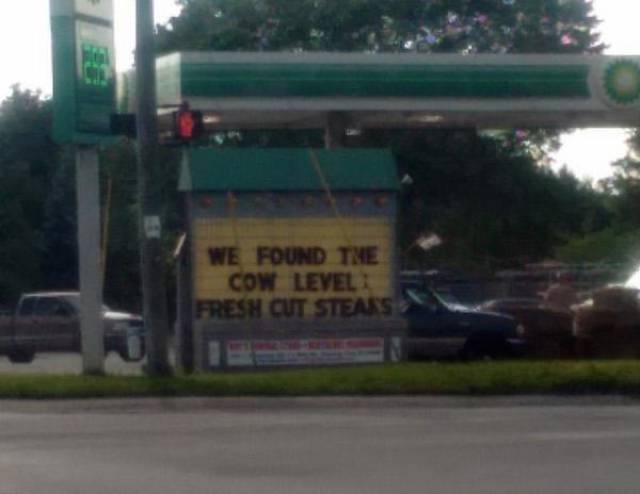 Gamers Will Approve...