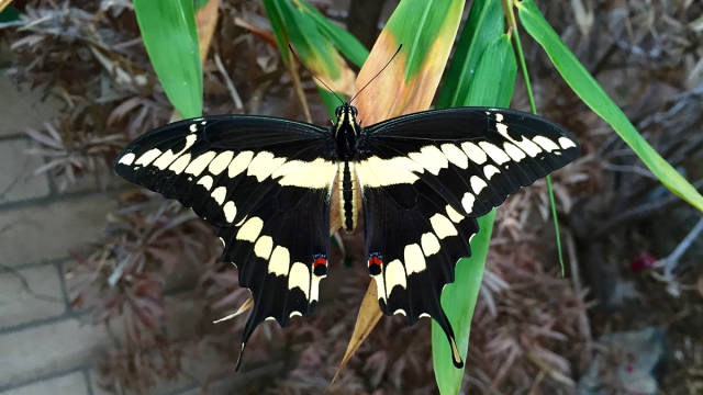 morning picdump 53 pics 2.html - 53 HD Photos | Premium Gallery 2015