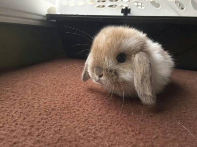 morning picdump 53 pics 2.html - 53 HD Photos | Premium Gallery 2015