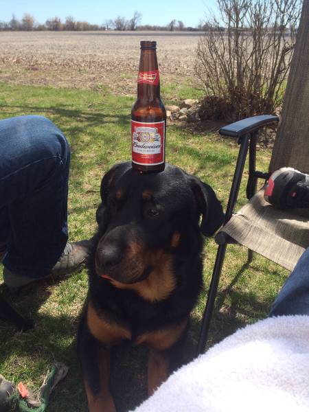 morning picdump 53 pics 2.html - 53 HD Photos | Premium Gallery 2015