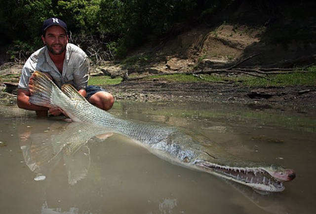 morning picdump 53 pics 2.html - 53 HD Photos | Premium Gallery 2015