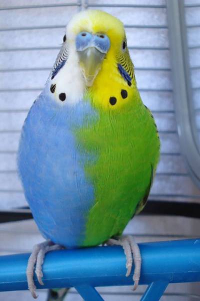 page,20,top 1500 daily pics of the year 2015.html - 1 HD Photos | Premium Gallery 2015