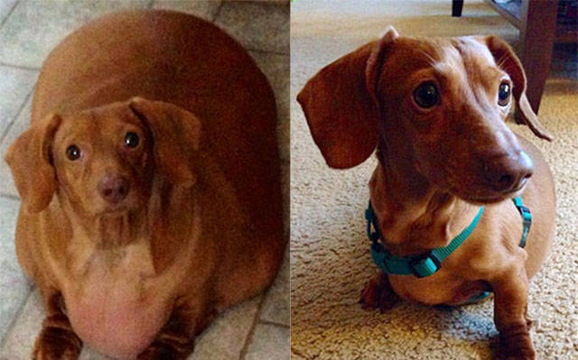 Gorgeous Girls Who Used to Be Fat