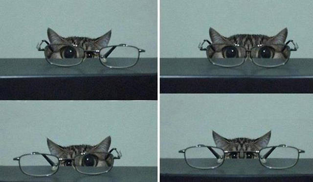 morning picdump 55 pics 49.html - 55 HD Photos | Premium Gallery 2015