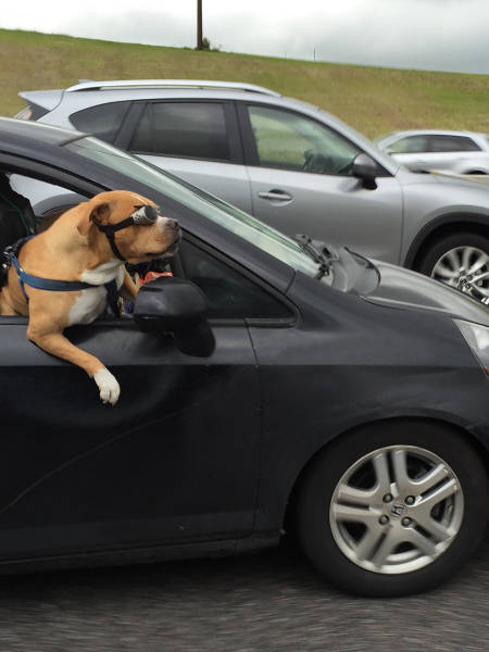 morning picdump 55 pics 49.html - 55 HD Photos | Premium Gallery 2015