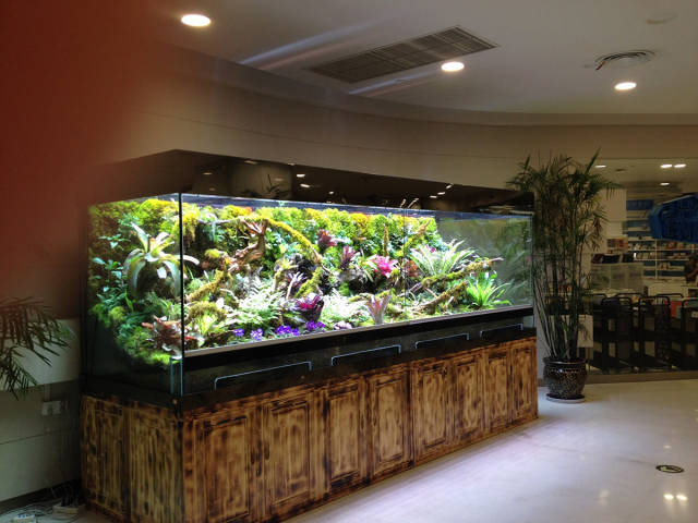 morning picdump 55 pics 49.html - 55 HD Photos | Premium Gallery 2015