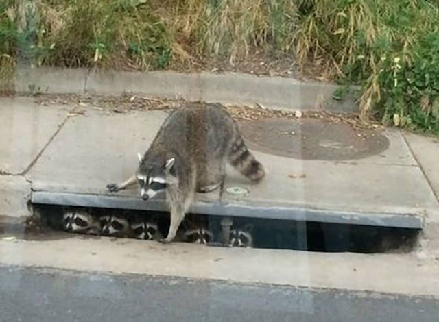 morning picdump 55 pics 23.html - 55 HD Photos | Premium Gallery 2015