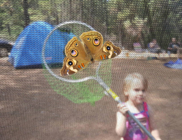 morning picdump 55 pics 23.html - 55 HD Photos | Premium Gallery 2015