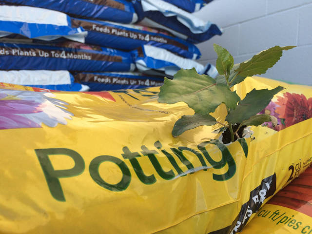 morning picdump 55 pics 23.html - 55 HD Photos | Premium Gallery 2015