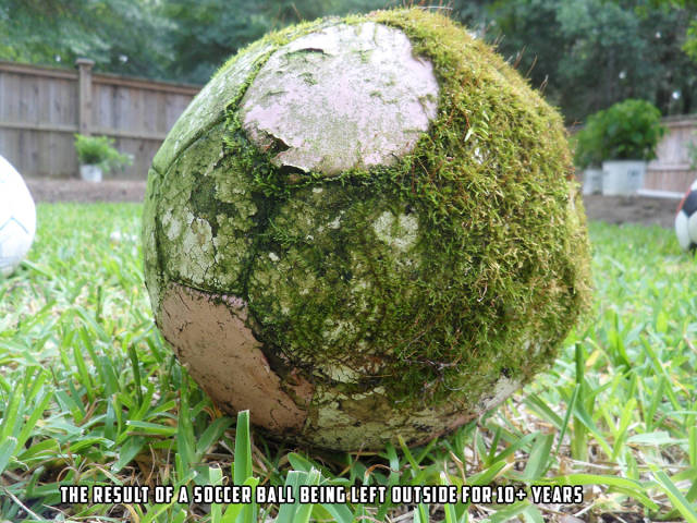 morning picdump 55 pics 23.html - 55 HD Photos | Premium Gallery 2015