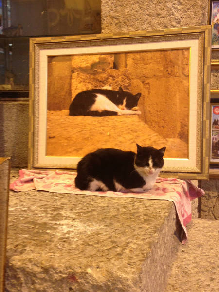 morning picdump 55 pics 23.html - 55 HD Photos | Premium Gallery 2015