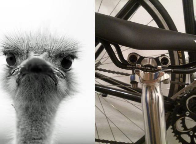 daily picdump 95 pics 21.html - 95 HD Photos | Premium Gallery 2015