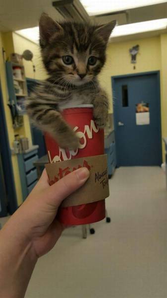 daily picdump 95 pics 21.html - 95 HD Photos | Premium Gallery 2015