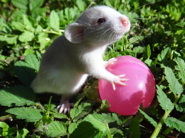 daily picdump 95 pics 21.html - 95 HD Photos | Premium Gallery 2015