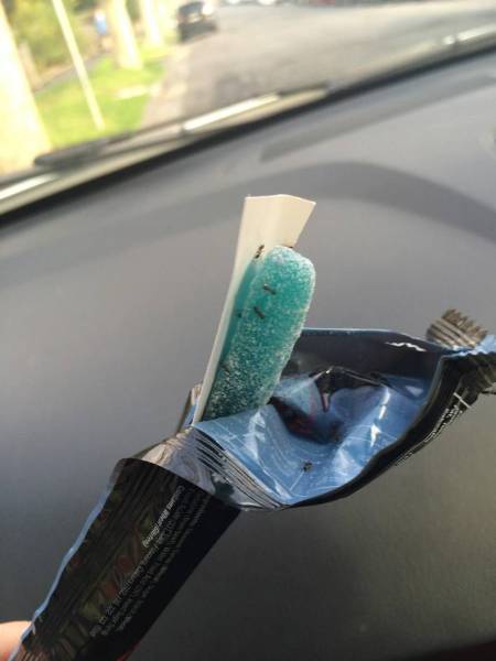 daily picdump 95 pics 21.html - 95 HD Photos | Premium Gallery 2015