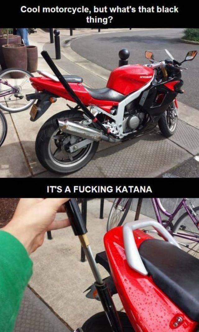 daily picdump 95 pics 21.html - 95 HD Photos | Premium Gallery 2015