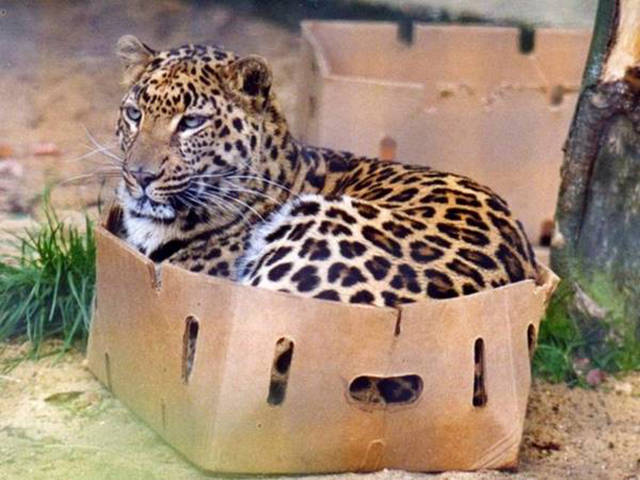 morning picdump 53 pics 16.html - 53 HD Photos | Premium Gallery 2015