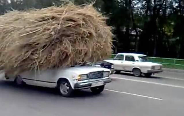 morning picdump 53 pics 16.html - 53 HD Photos | Premium Gallery 2015