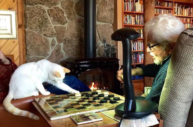 morning picdump 53 pics 16.html - 53 HD Photos | Premium Gallery 2015