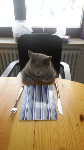 morning picdump 53 pics 16.html - 53 HD Photos | Premium Gallery 2015
