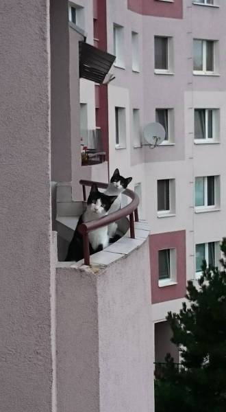 morning picdump 53 pics 16.html - 53 HD Photos | Premium Gallery 2015
