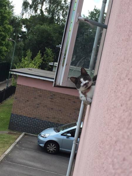 morning picdump 54 pics 16.html - 54 HD Photos | Premium Gallery 2015