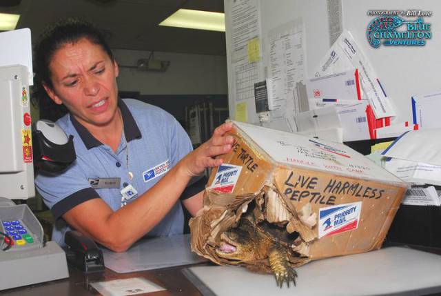 morning picdump 54 pics 16.html - 54 HD Photos | Premium Gallery 2015