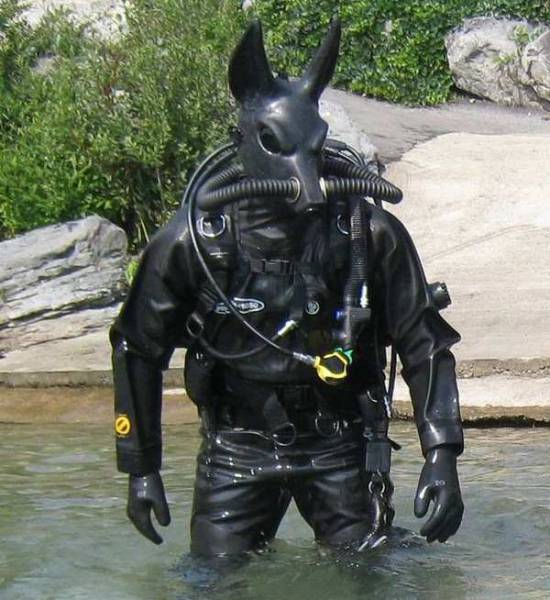 morning picdump 54 pics 16.html - 54 HD Photos | Premium Gallery 2015