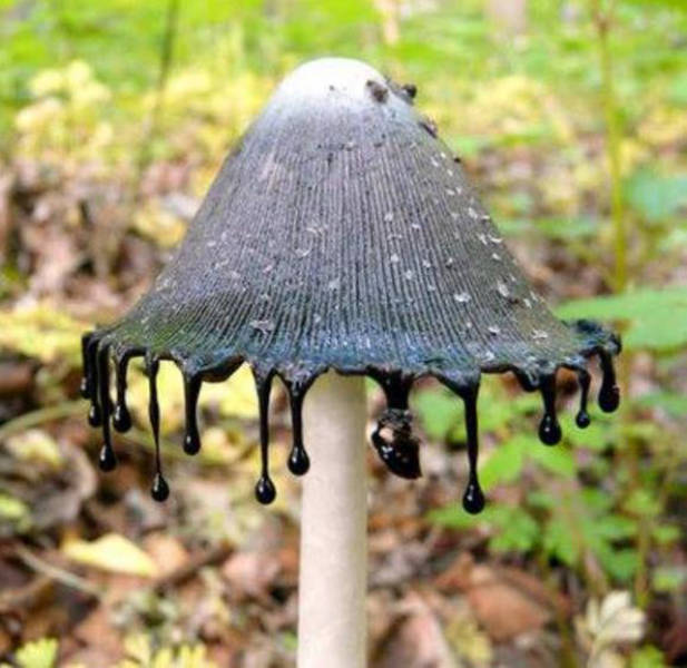 morning picdump 54 pics 16.html - 54 HD Photos | Premium Gallery 2015