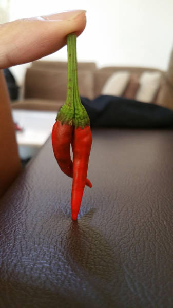 morning picdump 54 pics 16.html - 54 HD Photos | Premium Gallery 2015