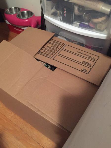 morning picdump 54 pics 16.html - 54 HD Photos | Premium Gallery 2015