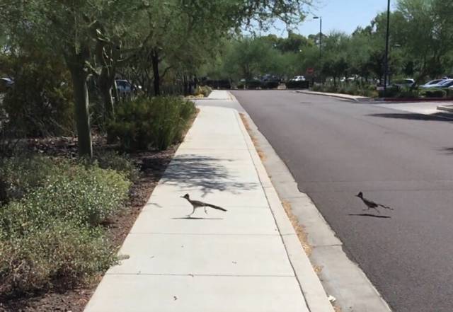 morning picdump 54 pics 16.html - 54 HD Photos | Premium Gallery 2015