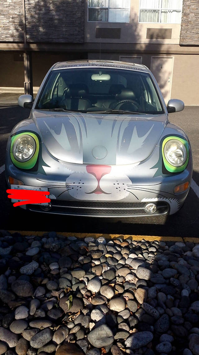 morning picdump 54 pics 16.html - 54 HD Photos | Premium Gallery 2015