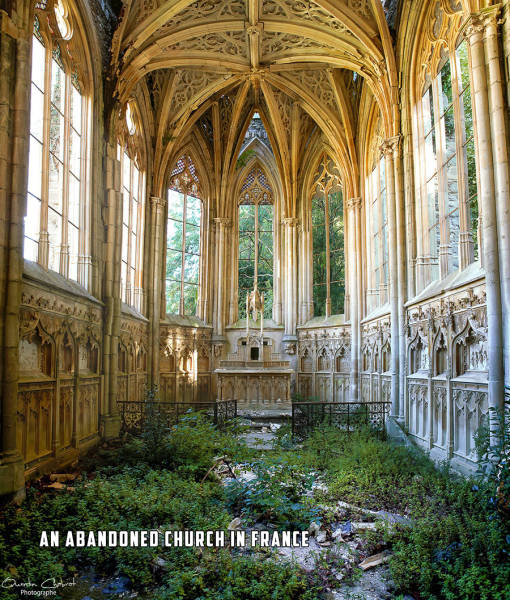 page,4,top 750 morning pics of the year 2015.html - 1 HD Photos | Premium Gallery 2015