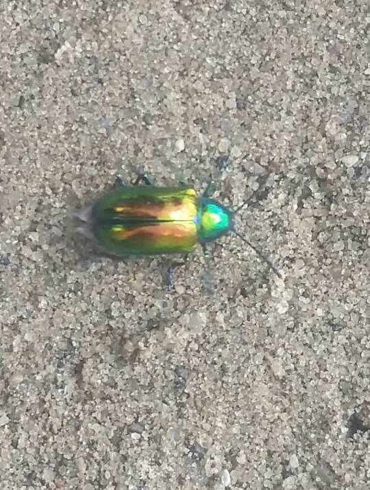 morning picdump 50 pics 13.html - 50 HD Photos | Premium Gallery 2015