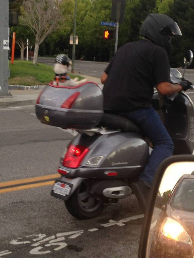 morning picdump 50 pics 13.html - 50 HD Photos | Premium Gallery 2015