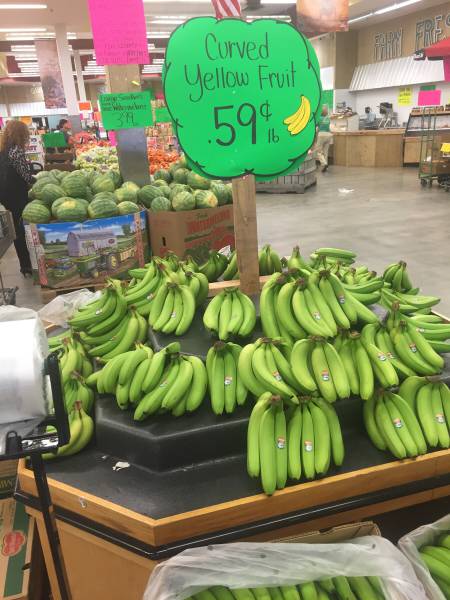 morning picdump 50 pics 14.html - 50 HD Photos | Premium Gallery 2015