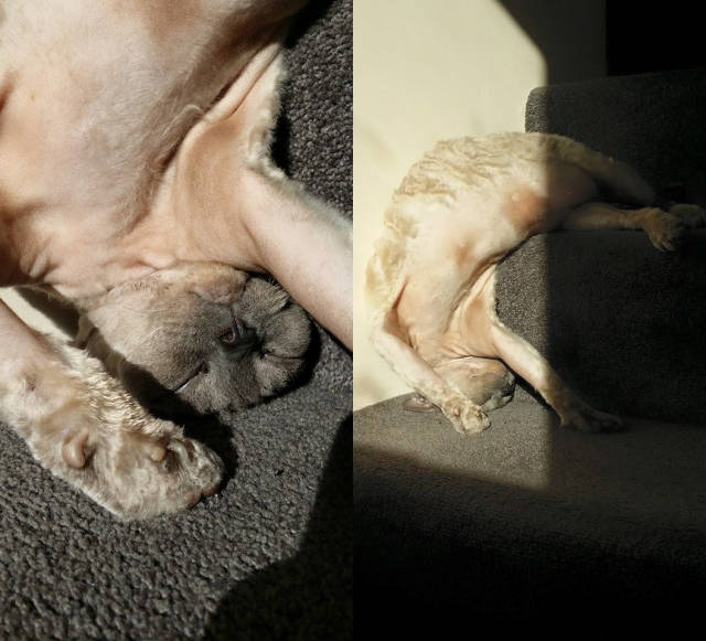 morning picdump 50 pics 14.html - 50 HD Photos | Premium Gallery 2015