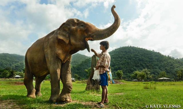 morning picdump 50 pics 14.html - 50 HD Photos | Premium Gallery 2015