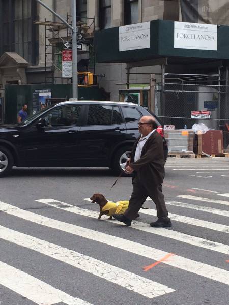 morning picdump 50 pics 14.html - 50 HD Photos | Premium Gallery 2015