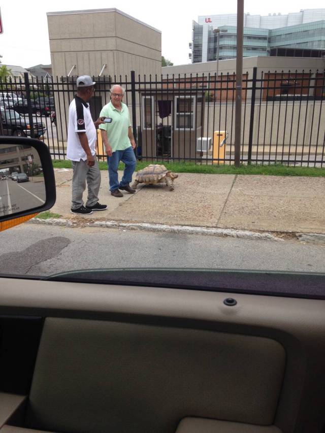 morning picdump 50 pics 14.html - 50 HD Photos | Premium Gallery 2015