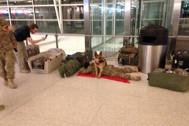 page,28,top 1500 daily pics of the year 2015.html - 1 HD Photos | Premium Gallery 2015